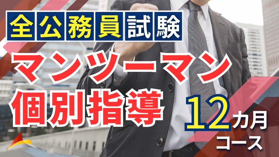 マンツーマン個別指導［全公務員試験］12ヶ月コース